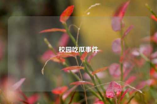 校园吃瓜事件